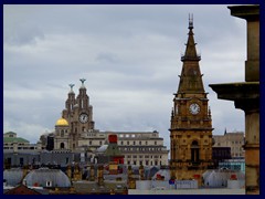 Central Library and its views 18 - Royal Liver Bldg, Municipal Bldg